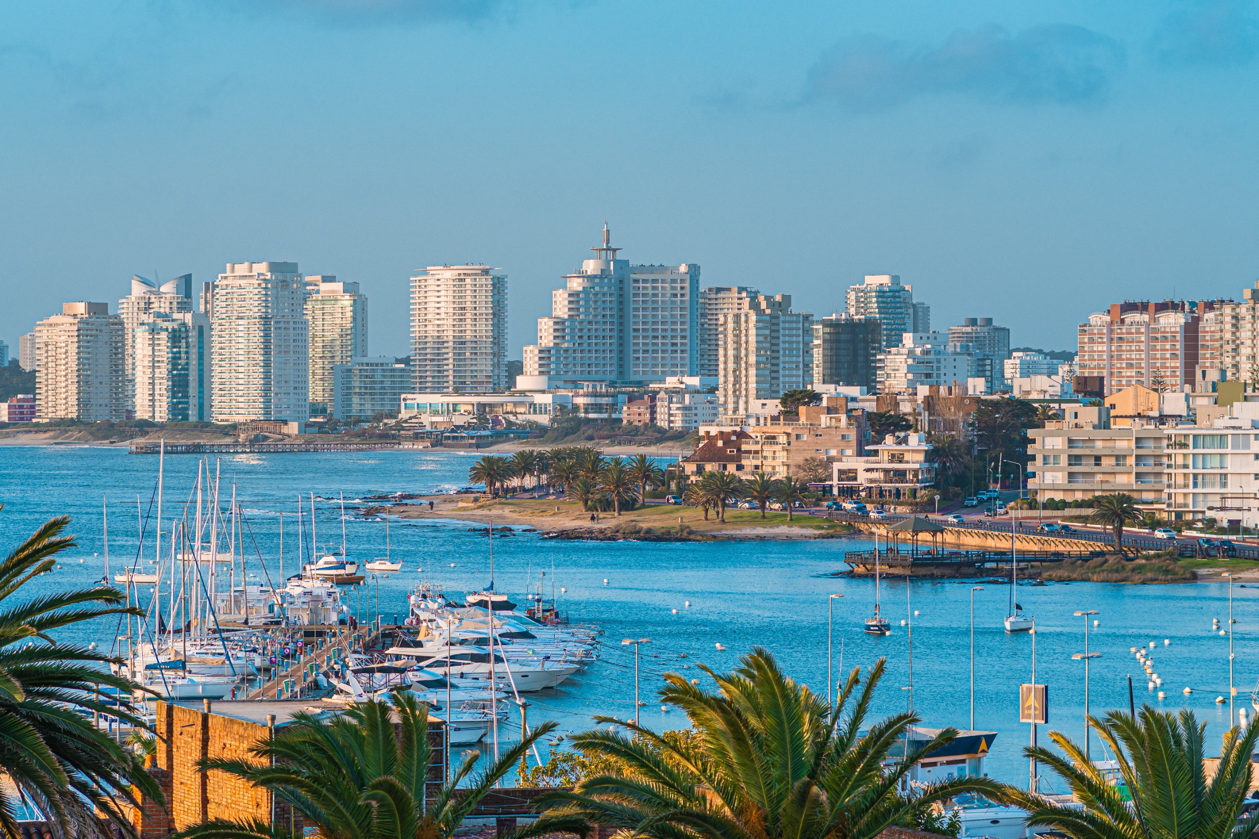 Punta Global Inmobiliario